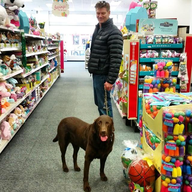 Are Esa Dogs Allowed In Grocery Stores