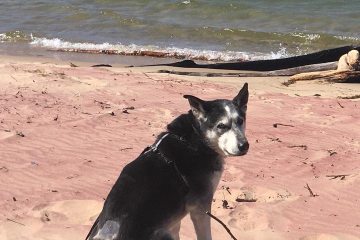 Pet Friendly Pictured Rocks National Lakeshore
