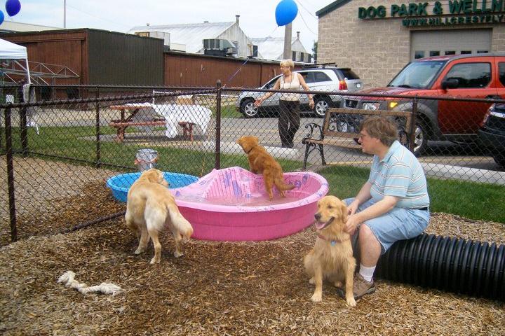 Pet Friendly Hillcrest Dog Park