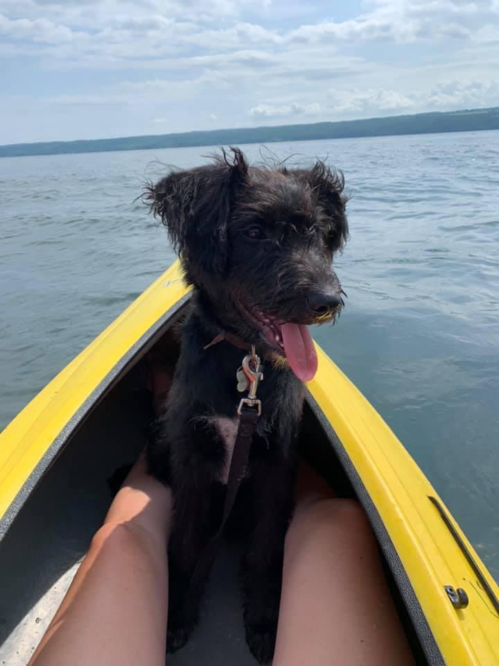 Pet Friendly Reagan's Canoe & Kayak Livery