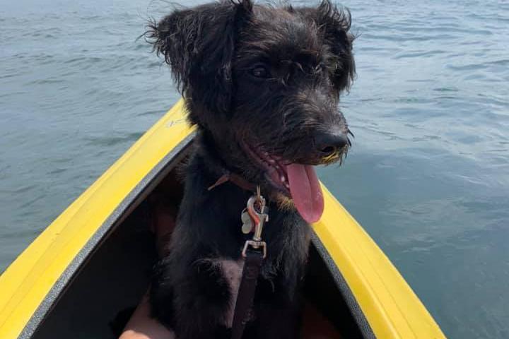 Pet Friendly Reagan's Canoe & Kayak Livery
