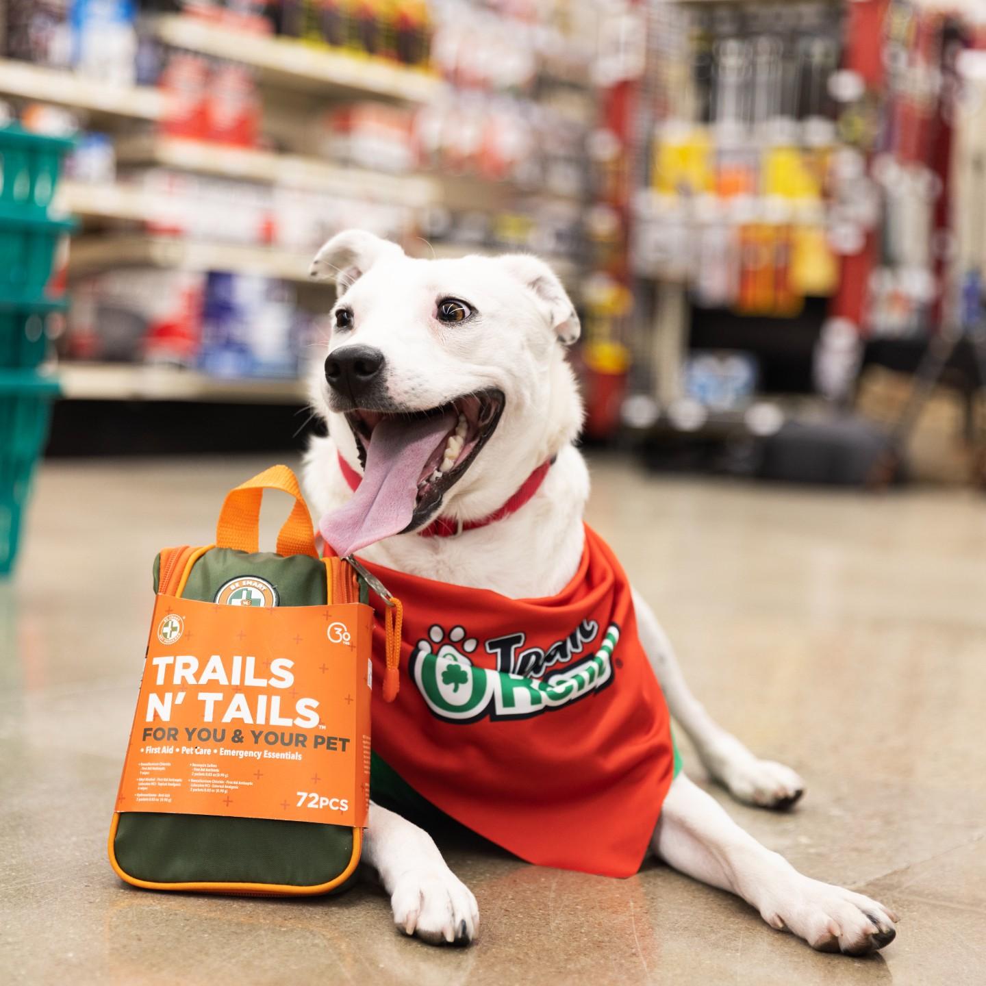 Pet Friendly O'Reilly Auto Parts Longwood