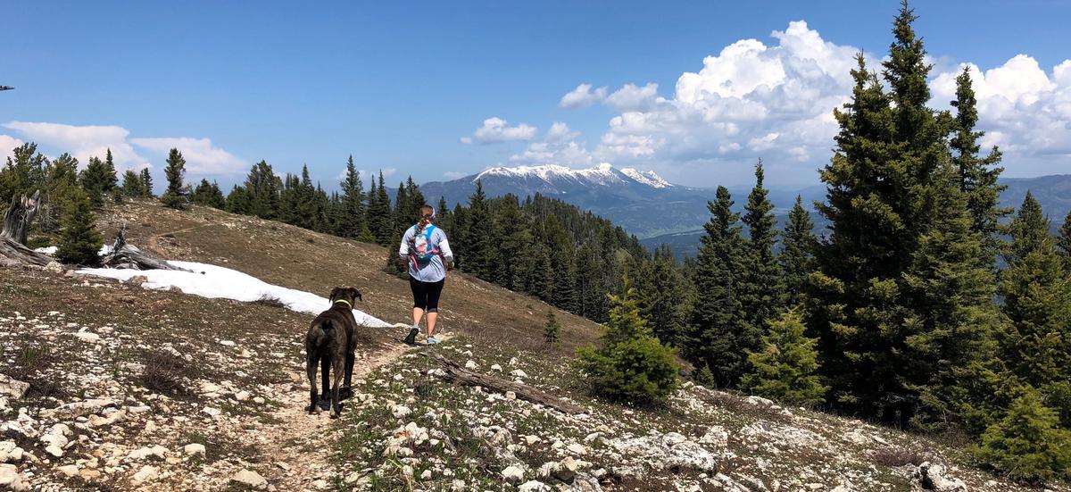 Dog Friendly Hiking Trails in Montana BringFido