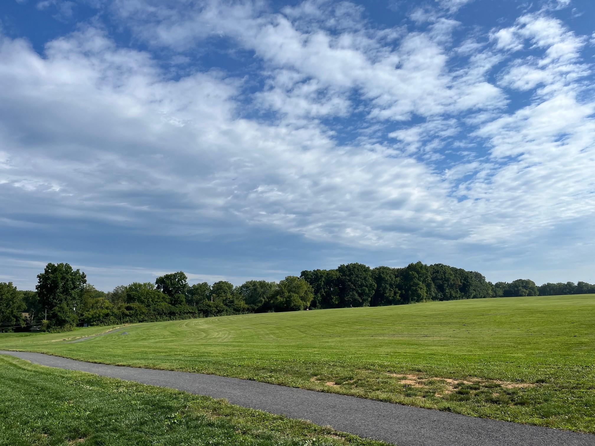Pet Friendly Newburg Park
