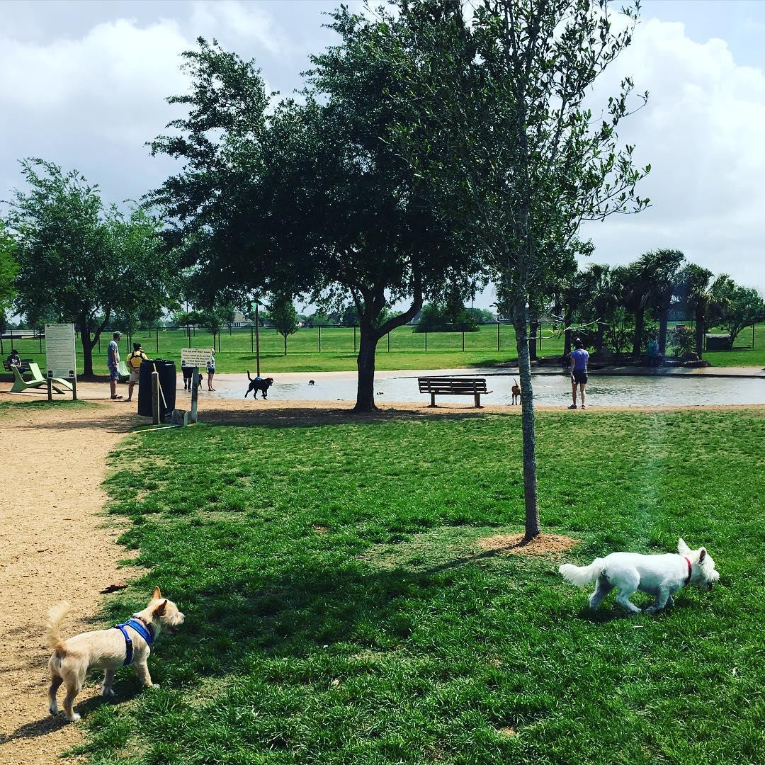Pawm Springs Dog Park