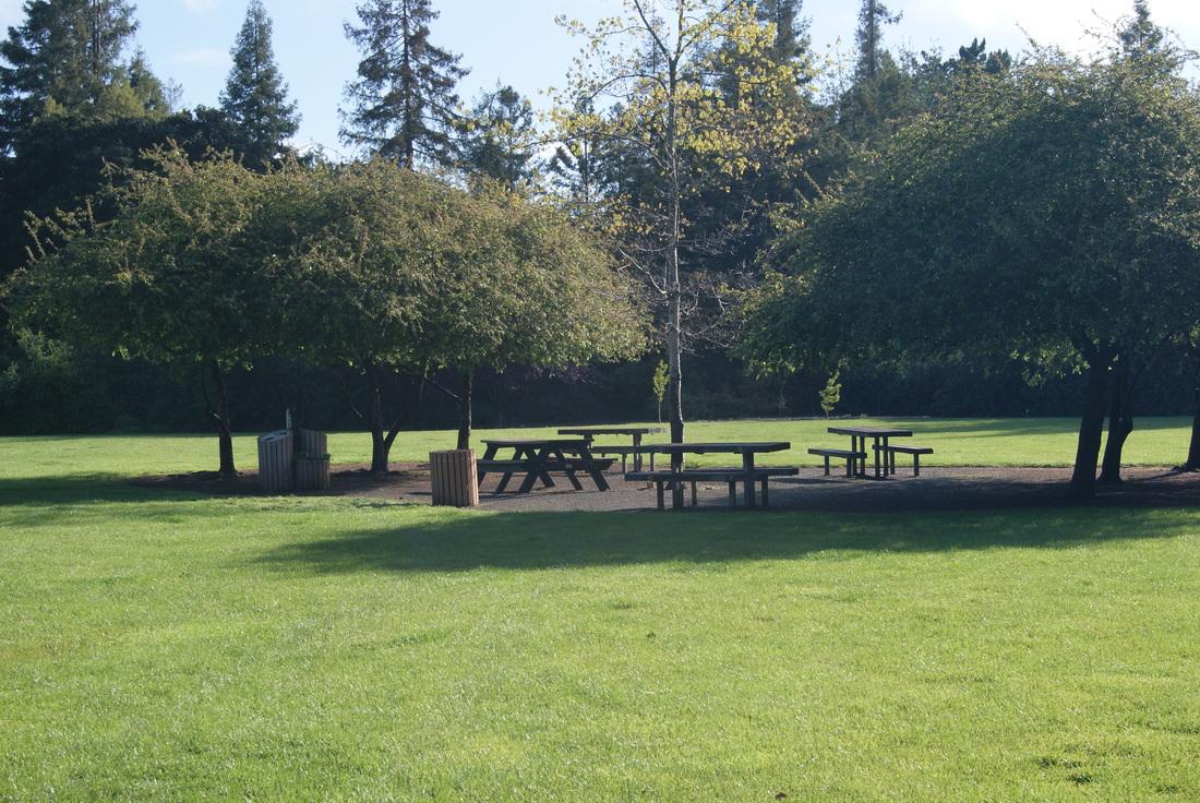 Holbrook Palmer Park