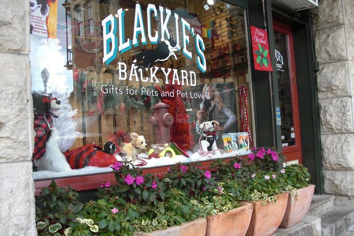 Pet Friendly Blackie's Backyard