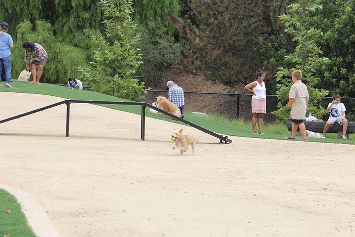 Pet Friendly Olive Hills Dog Park