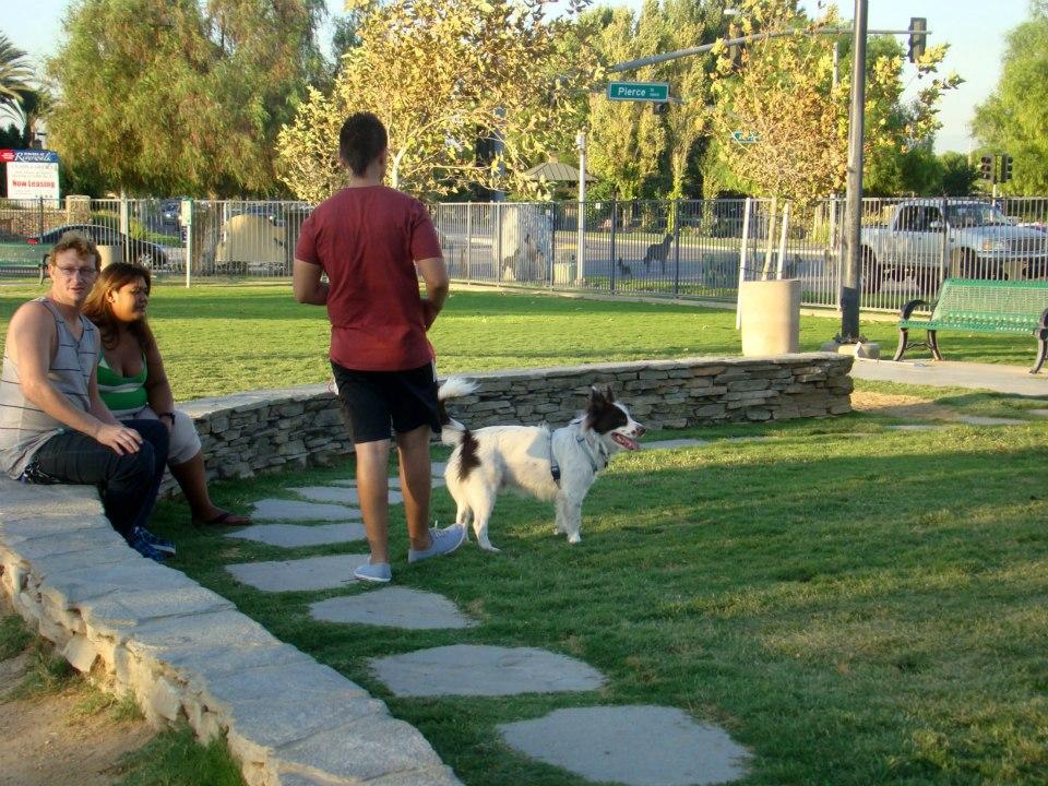 Pet Friendly Riverwalk Dog Park