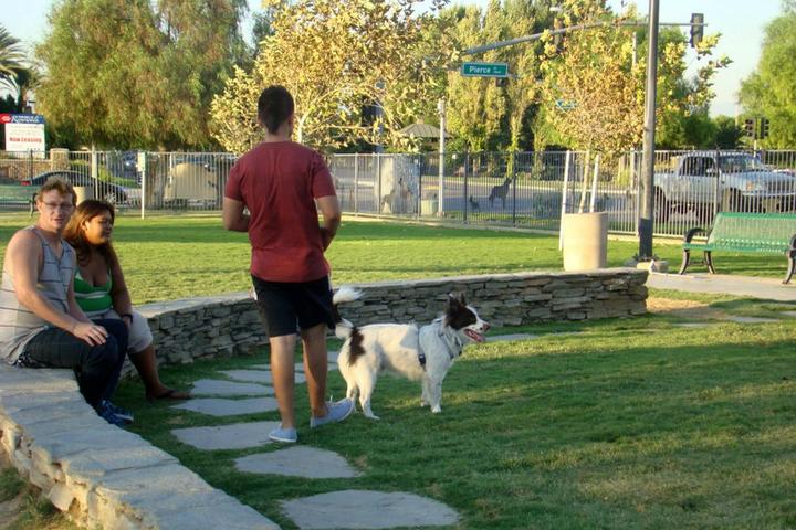 Pet Friendly Riverwalk Dog Park
