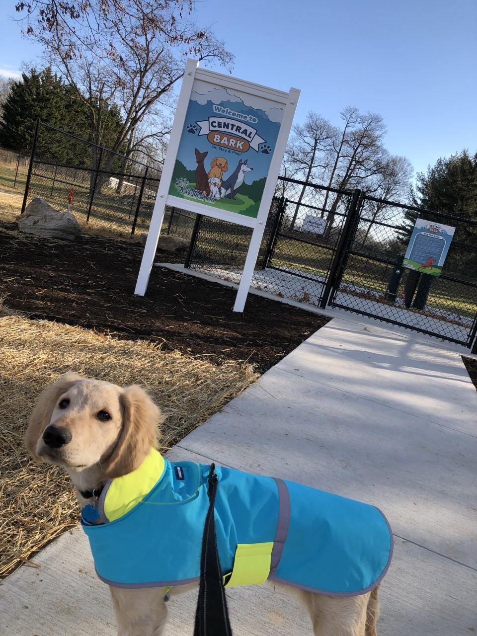 are dogs allowed at hagerstown city park