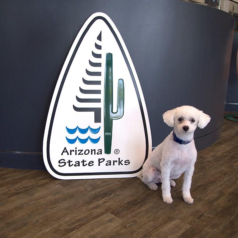 Dog Friendly Activities in Winslow, AZ - BringFido