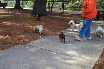 Download Off Leash Dog Parks In Winter Garden Fl Bringfido For Android Get Wallpaper Off Leash Dog Parks In Winter Garden Fl Bringfido For Free