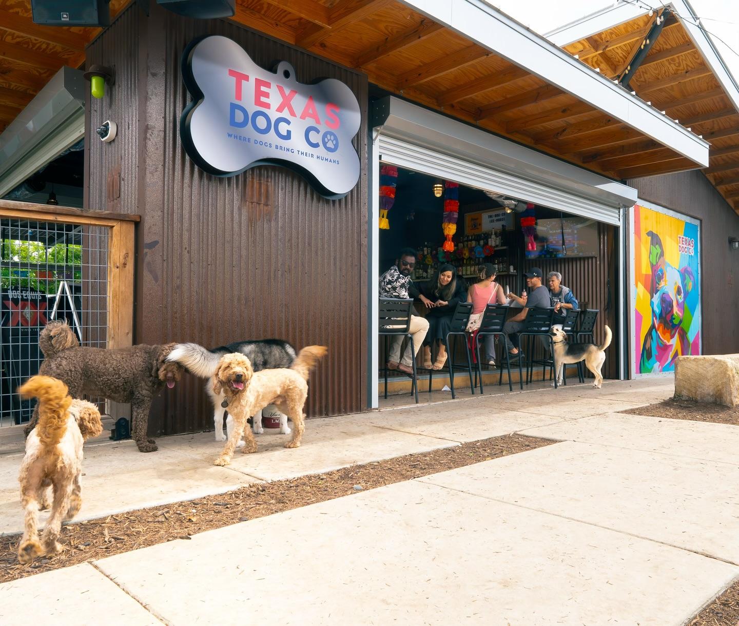 Pet Friendly The Dog Co. Icehouse