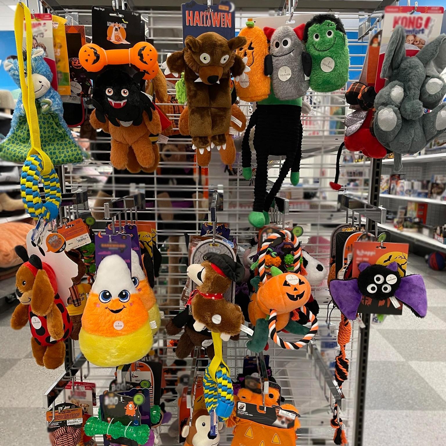 Pet Friendly Ross Dress for Less Burbank