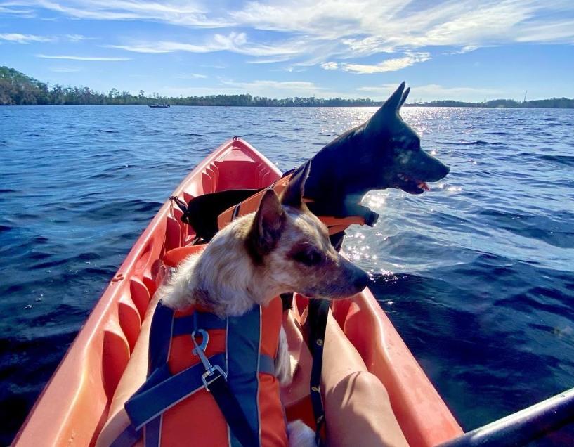 Buena Vista Watersports