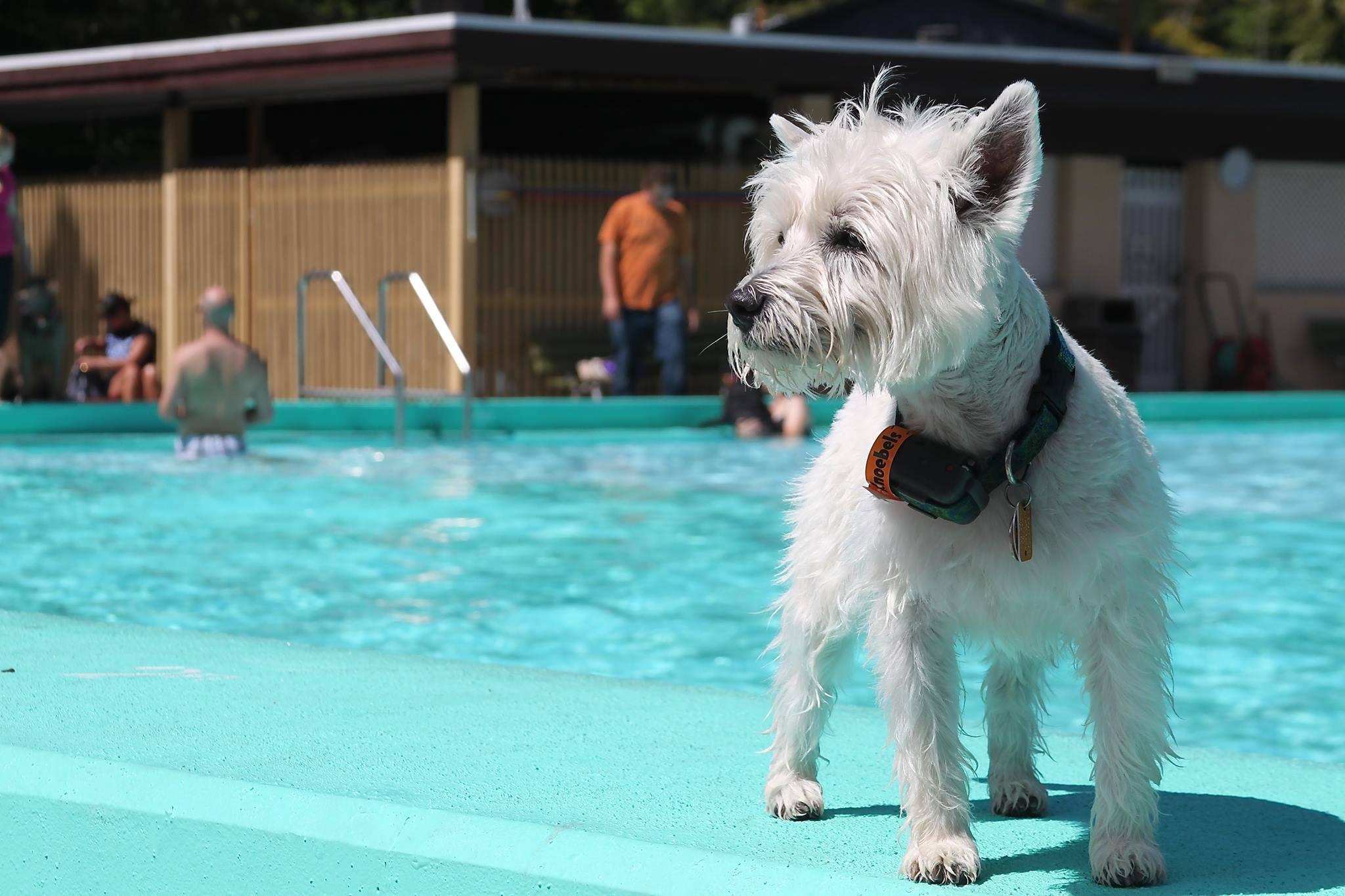 Knoebels Amusement Resort
