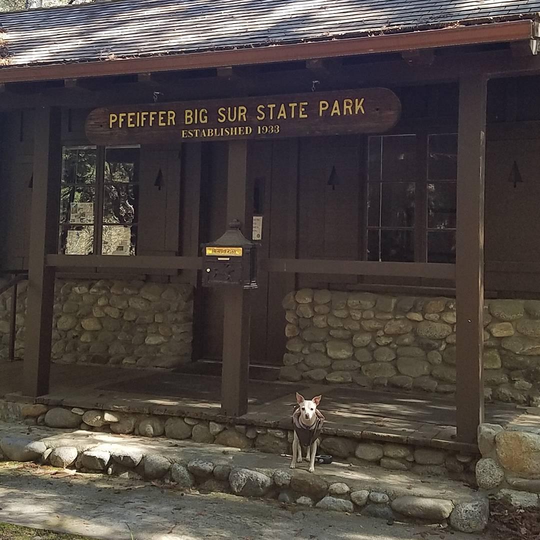 Pet Friendly Pfeiffer Big sur State Park