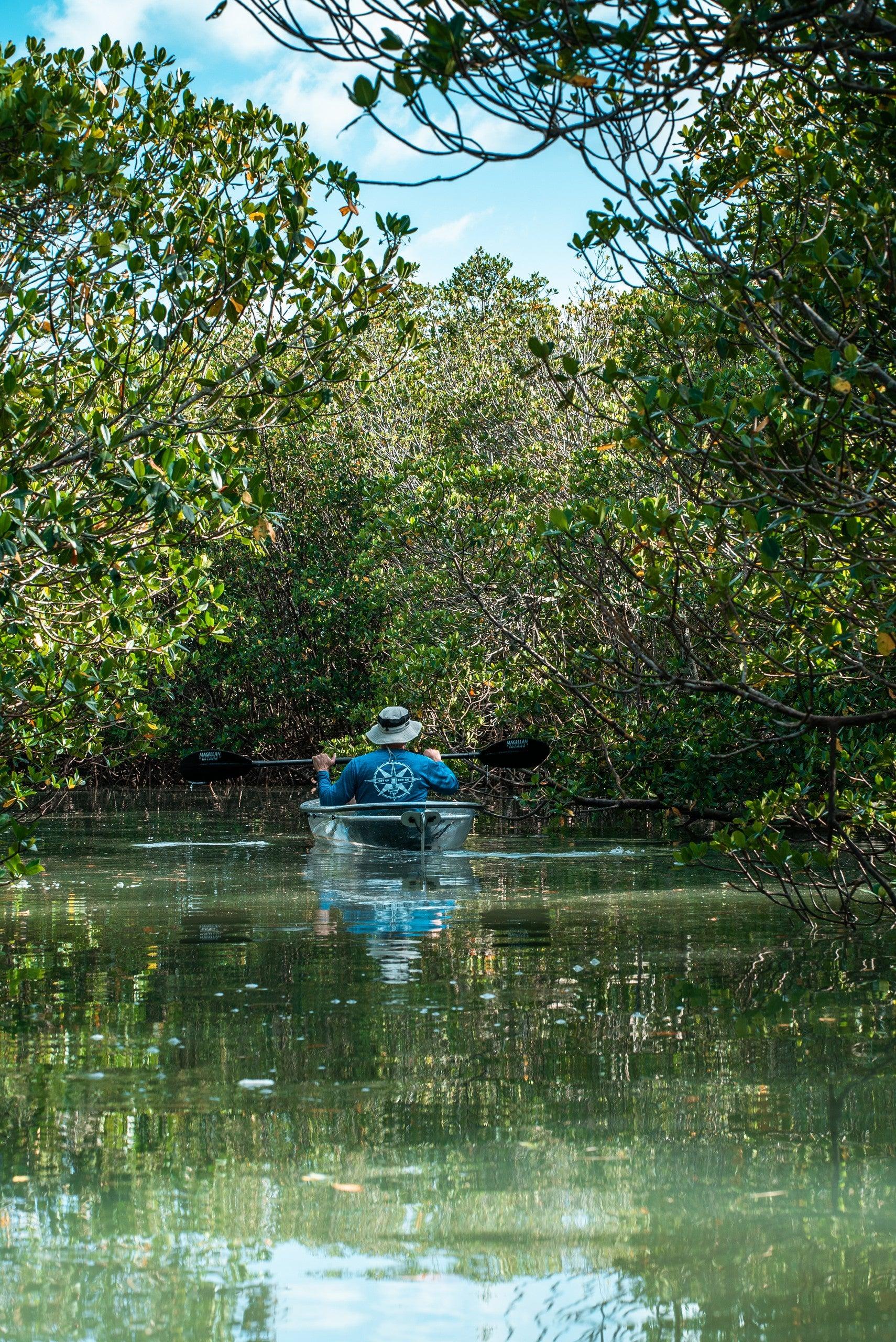 Pet Friendly Clear Kayak Daytime Mangrove Tour