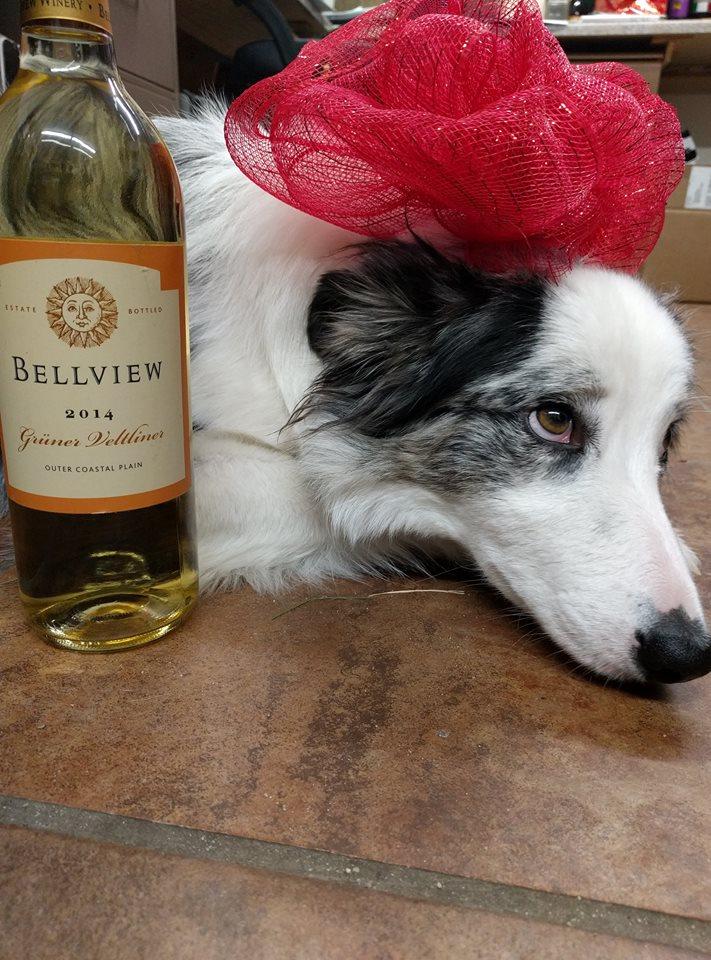 Pet Friendly Bellview Winery