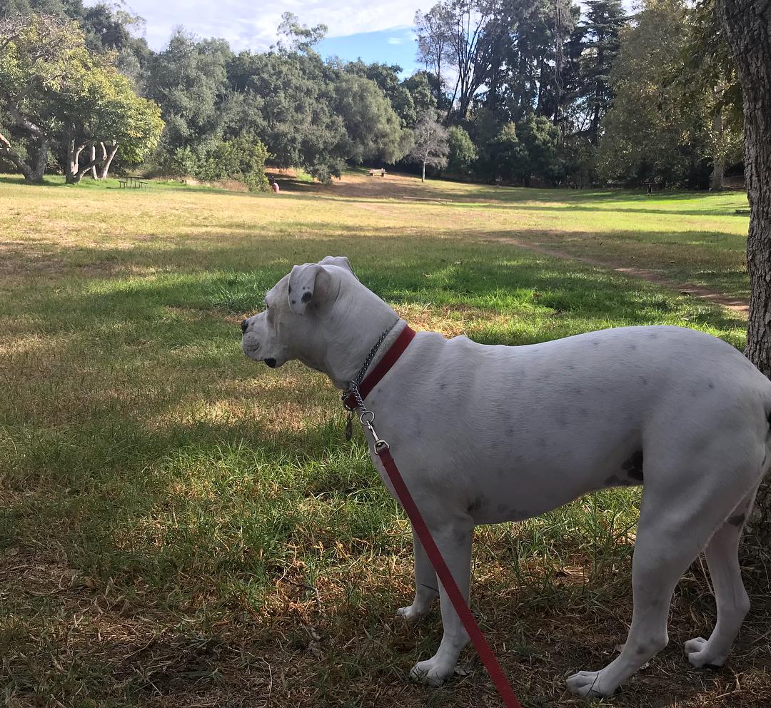 Franklin Canyon Park