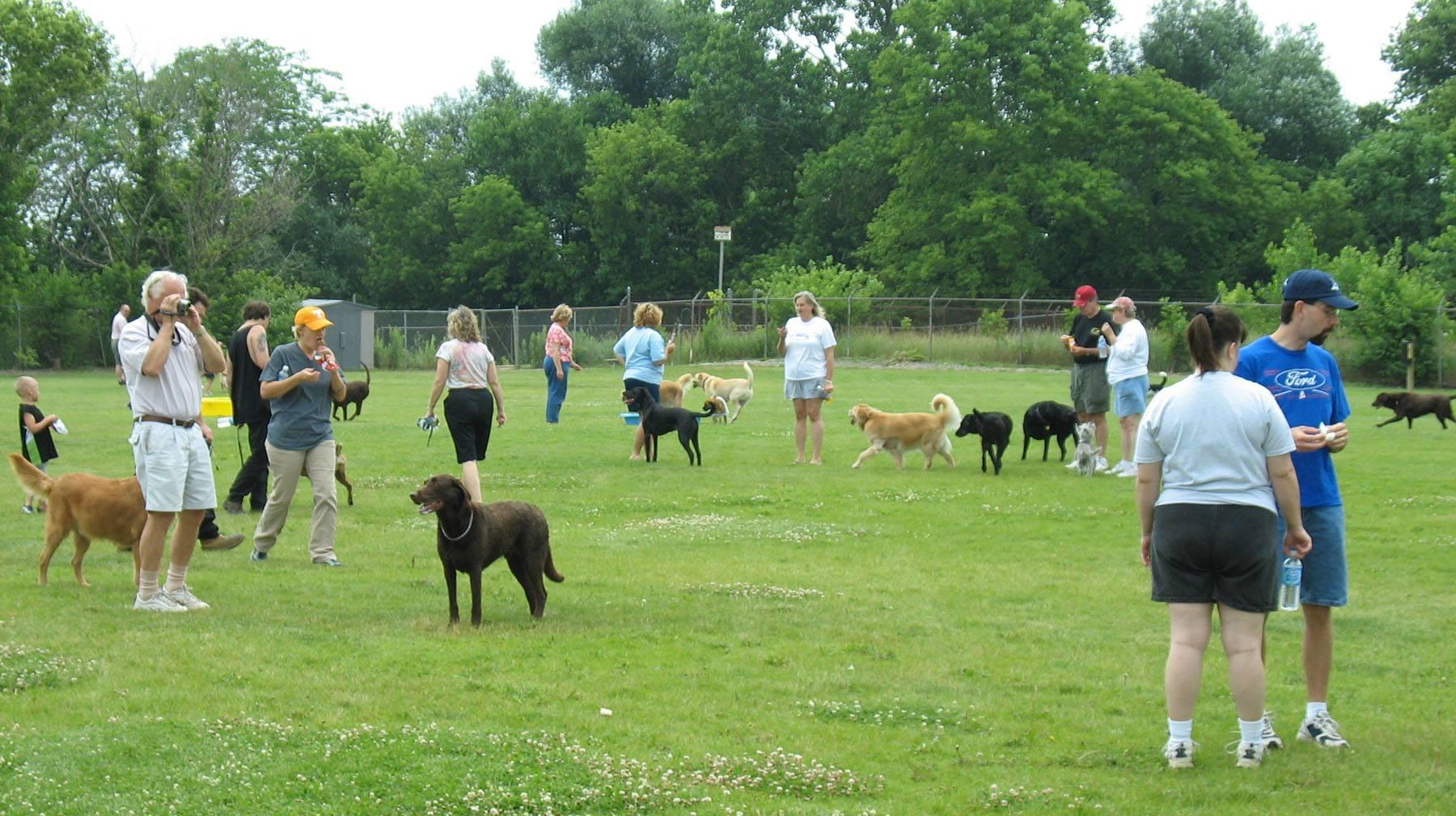 Pet Friendly Fremont Dog Park