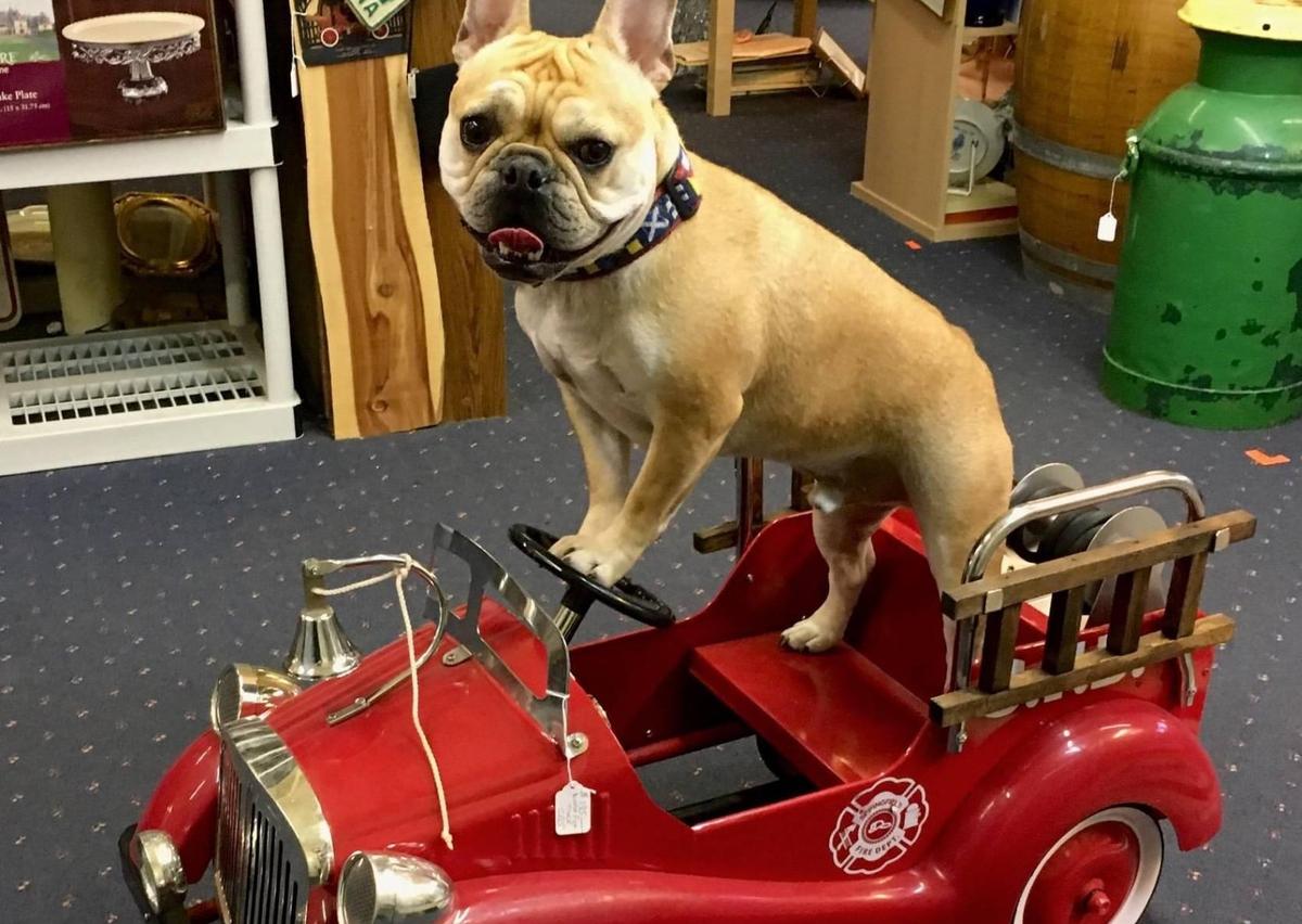 Altamont Vintage, Collectibles & Antiques