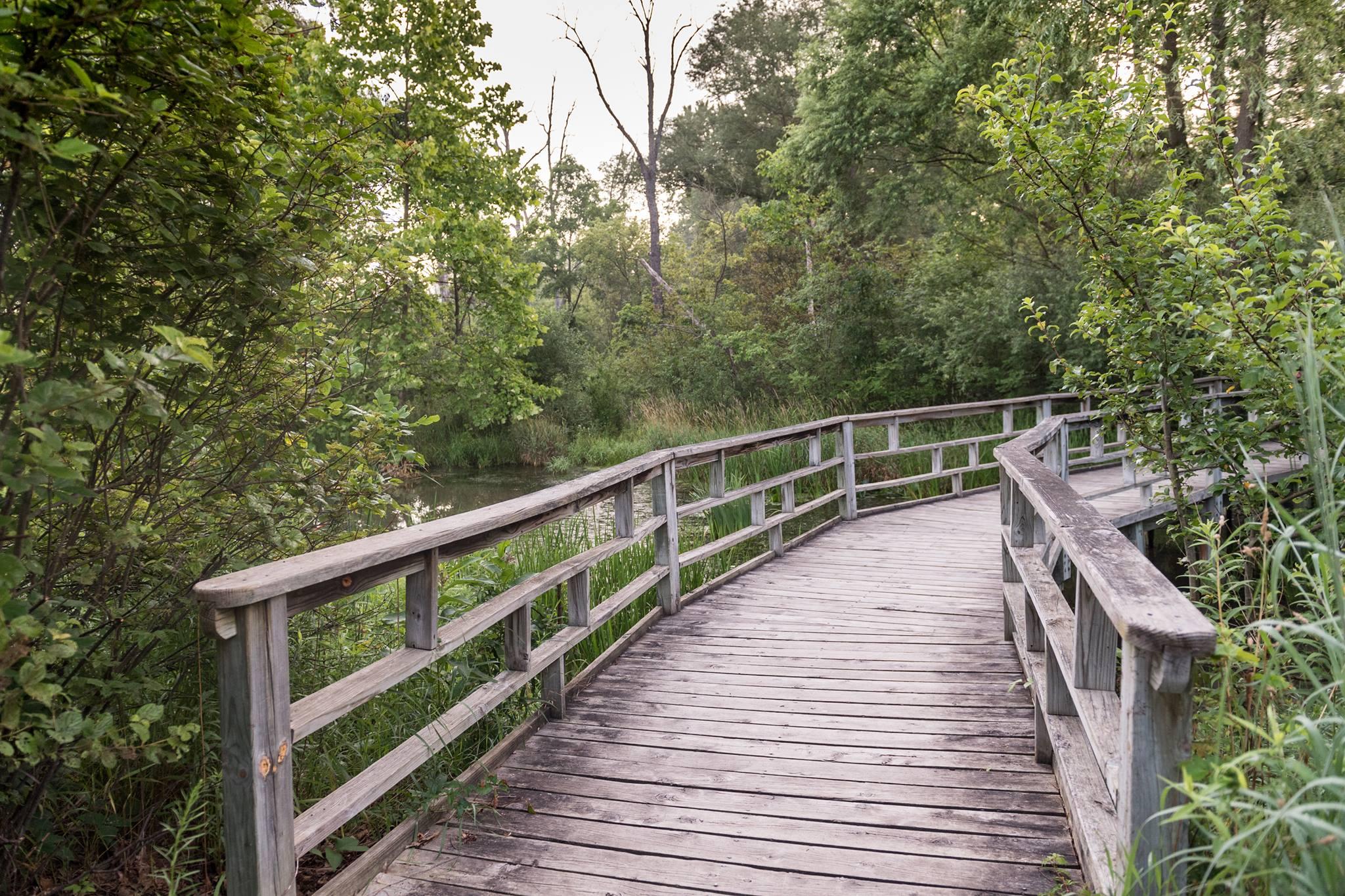 Pet Friendly University of Michigan Nichols Arboretum