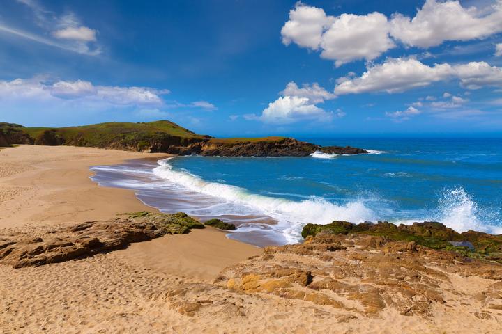 Pet Friendly Bean Hollow State Beach