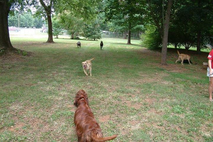 Pet Friendly K-9 Corner at Beth Schmidt Park