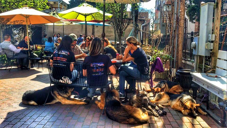 Greenville OffLeash Dog Area