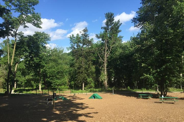 Pet Friendly Haverford Reserve Dog Park