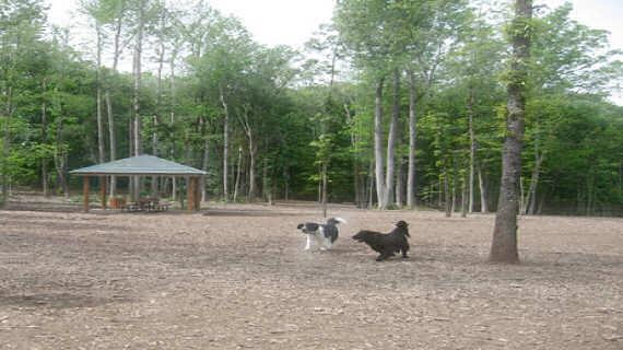 Pet Friendly Dog Park at Homestead Park