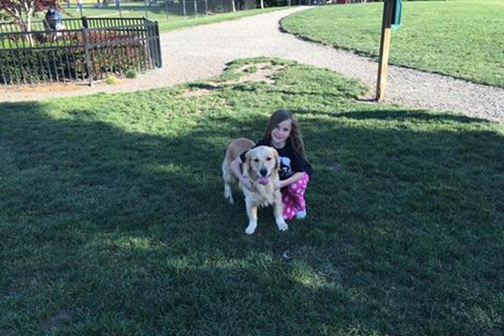 Dog Friendly Activities In Hillsboro Or Bringfido