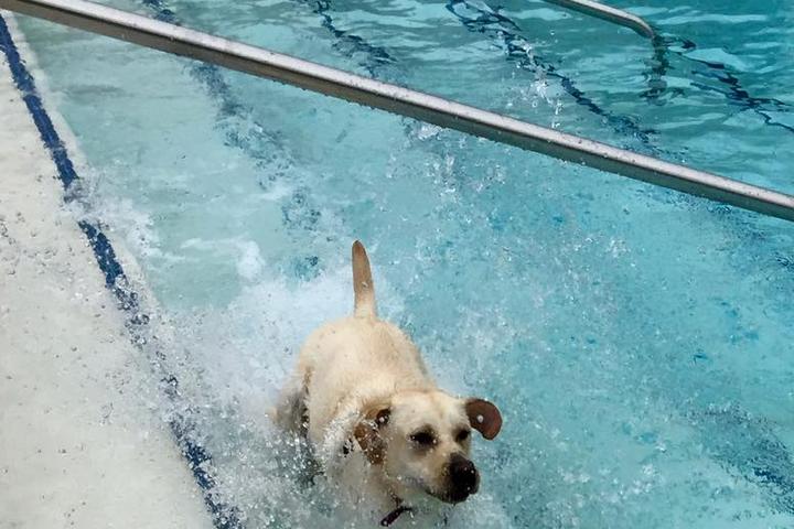 Off Leash Dog Parks In Crofton Md Bringfido