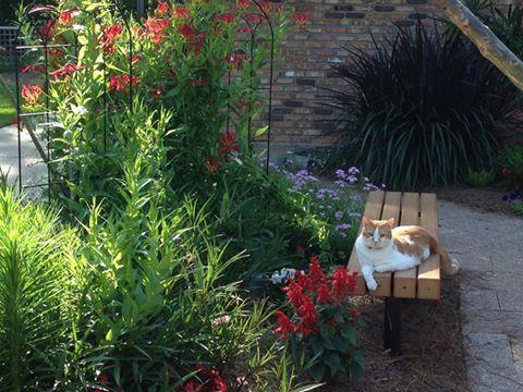 Dog Friendly Activities In Mobile Al Bringfido