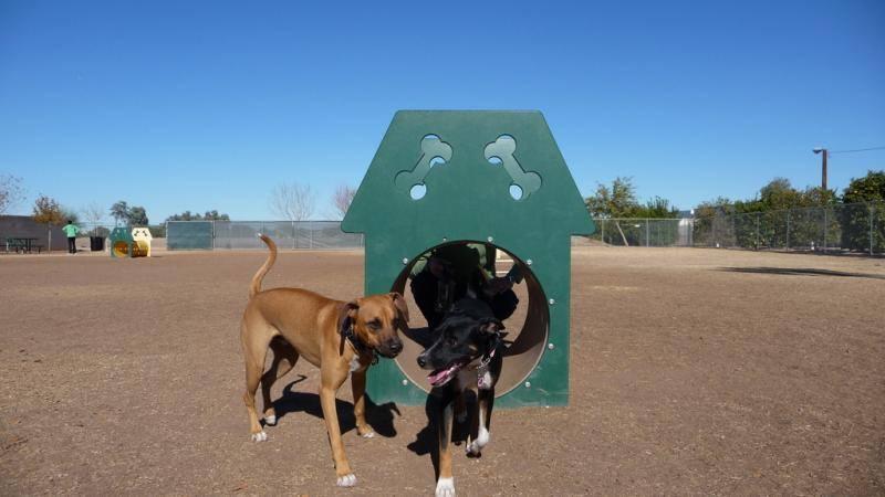 Chandler 4 Corners Dogs Welcome