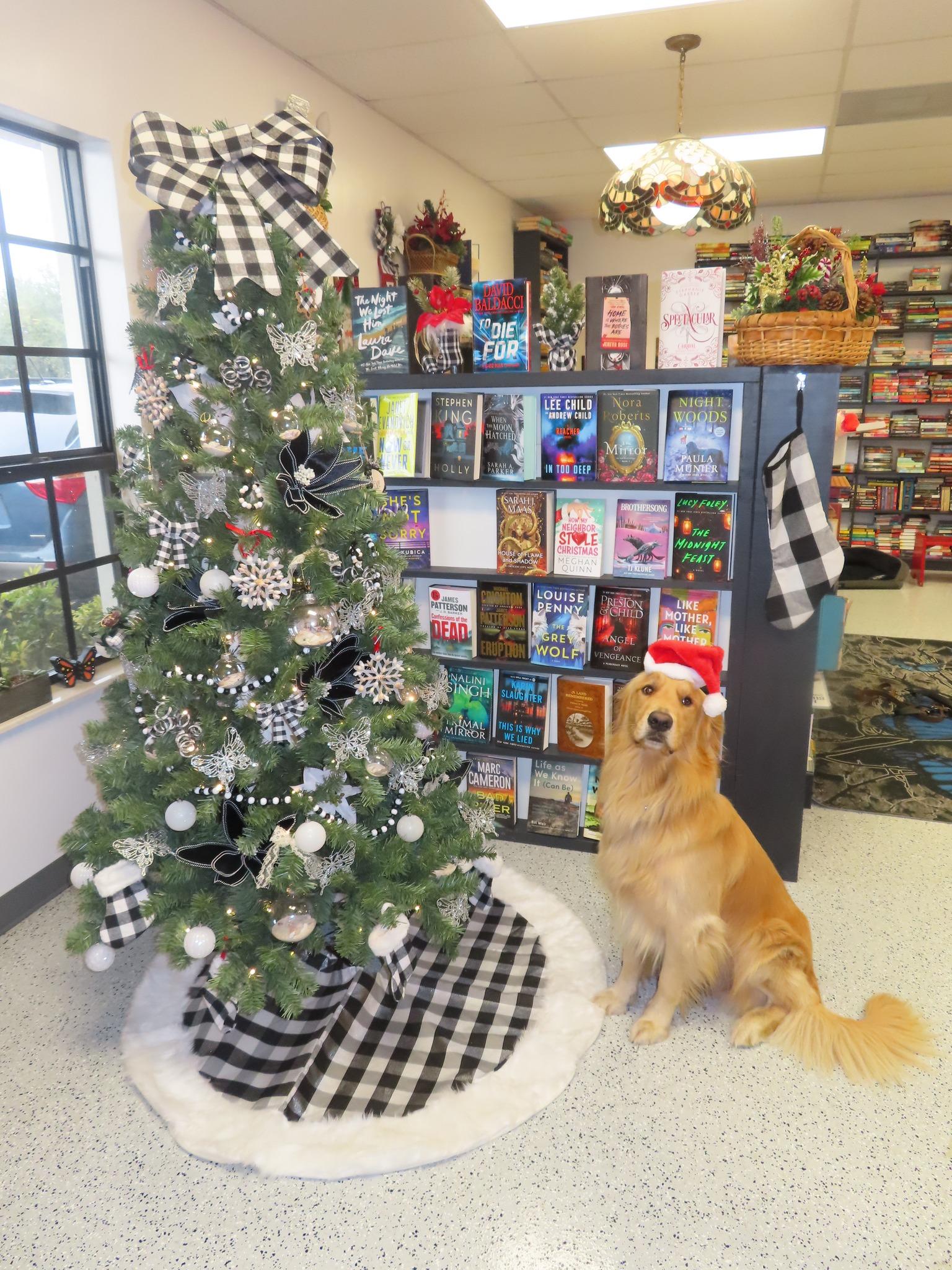 Pet Friendly Flutterbuy Books and More