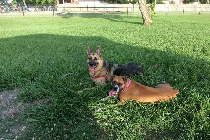 Pet Friendly Independence Dog Park