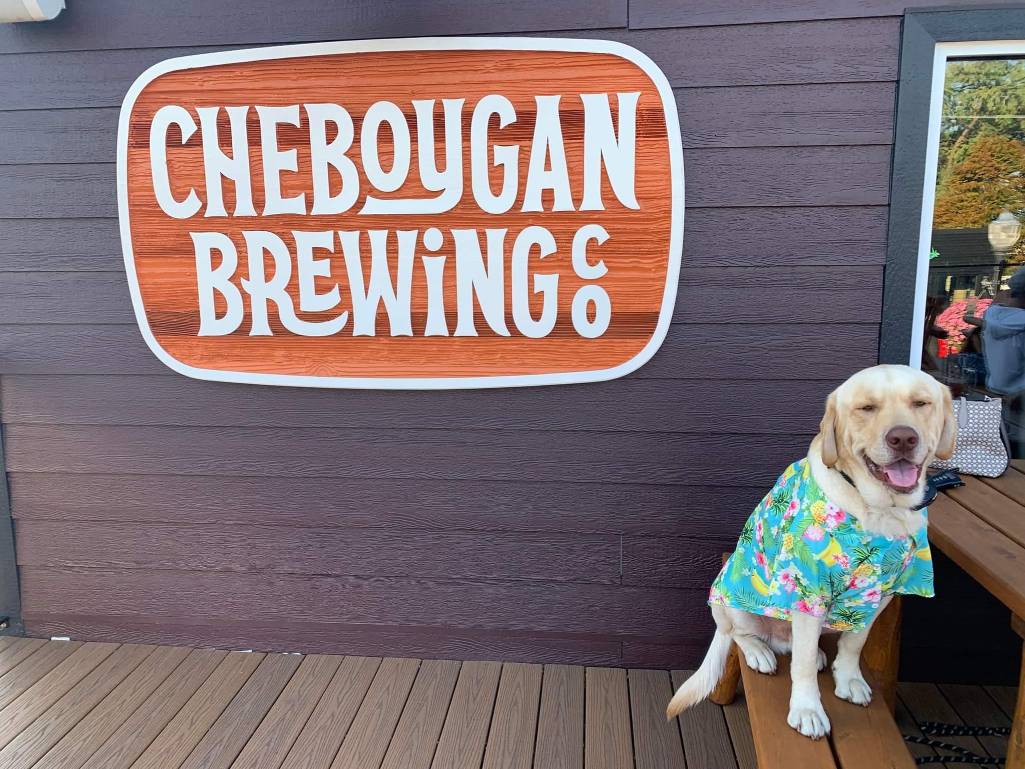 Pet Friendly Cheboygan Brewing Company