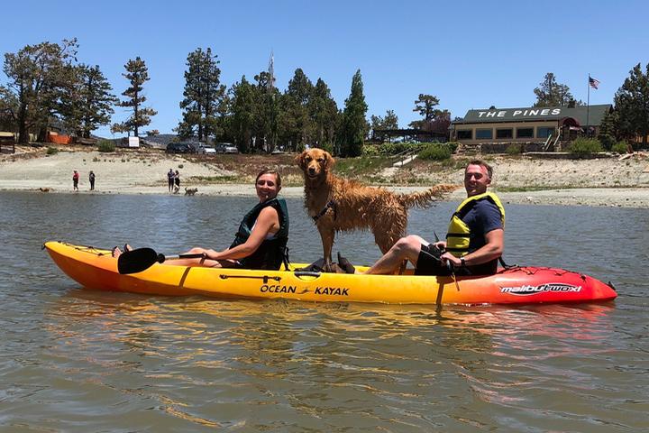 Dog Friendly Tours In Big Bear Lake Ca Bringfido