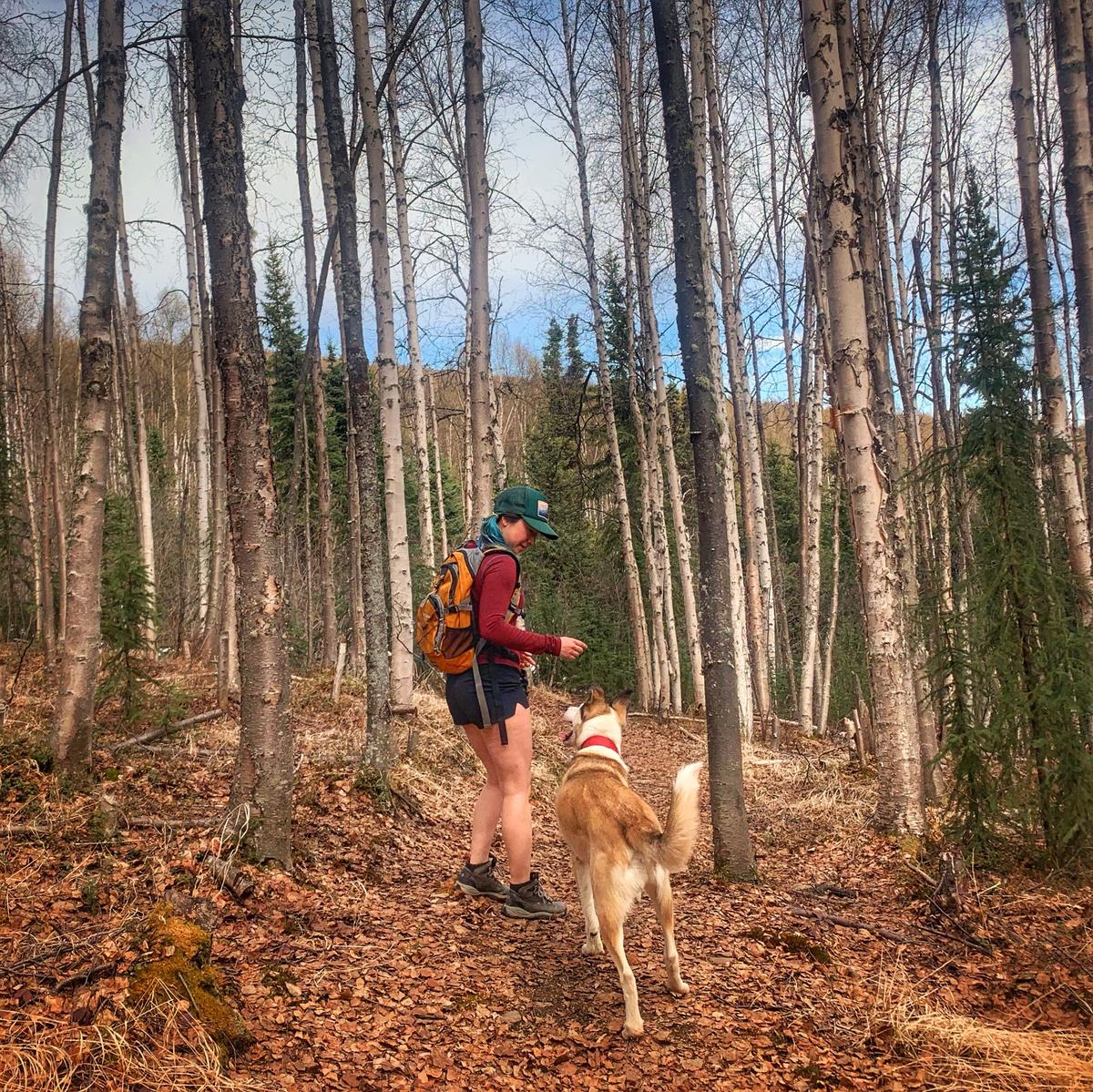 hiking with huskies