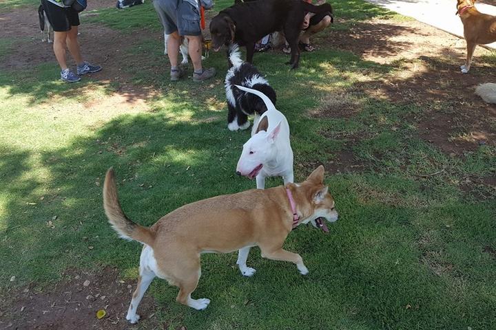 Pet Friendly Dog Park at Shawnee Park