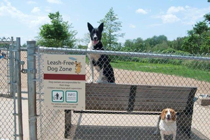 Pet Friendly Clayt French Dog Park