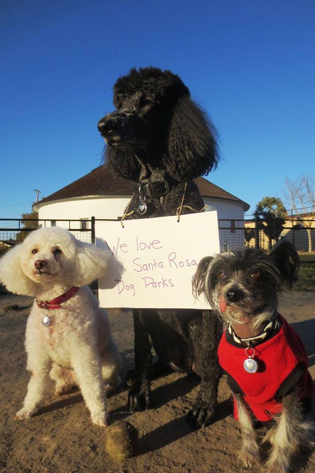 Pet Friendly Northwest Community Dog Park