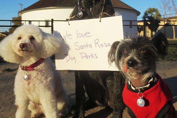 Pet Friendly Northwest Community Dog Park