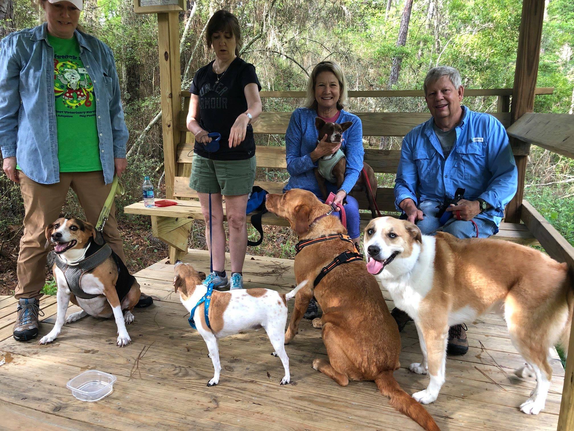 are dogs allowed at northlake nature center