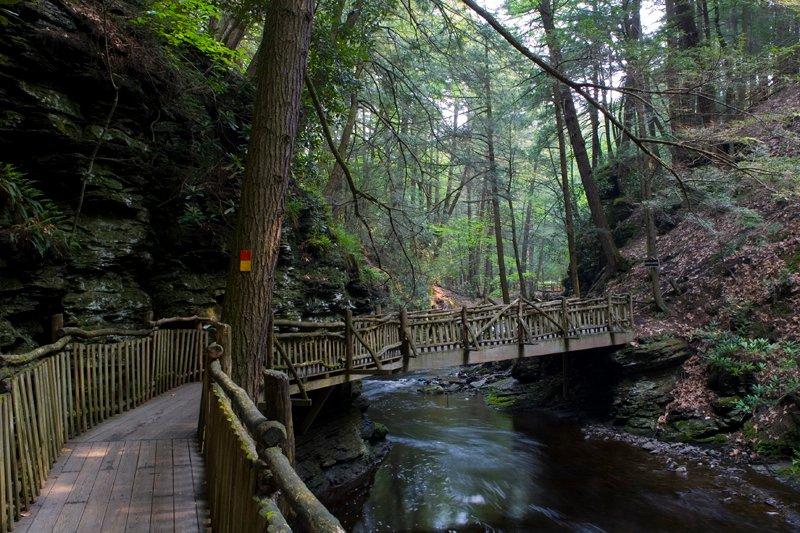 Are Dogs Allowed At Bushkill Falls