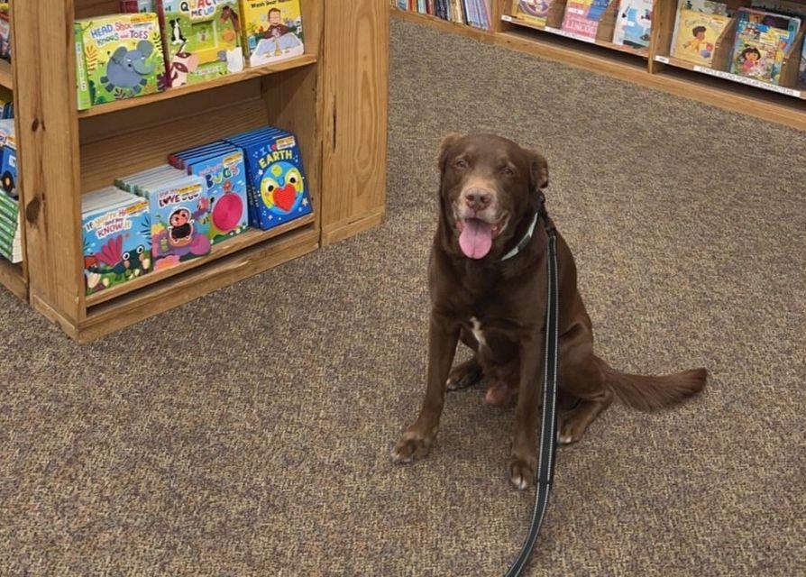 are half price books dog friendly