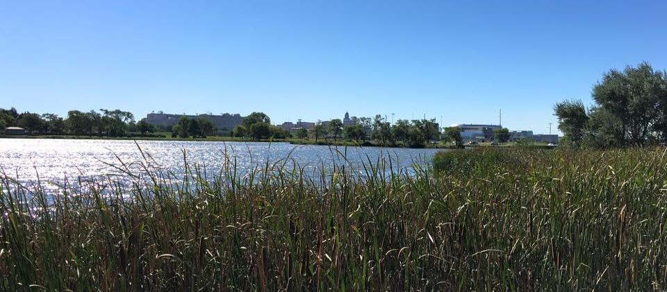 Picture of Oak Lake Dog Park, a dog friendly attraction in Lincoln. Picture of Oak Lake Dog Park, a dog friendly attraction in Lincoln.